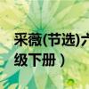 采薇(節選)六年級下冊賞析（采薇(節選)六年級下冊）