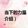 當下的力量 白金版（關于當下的力量 白金版介紹）