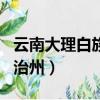 云南大理白族自治州賓川縣（云南大理白族自治州）