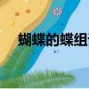 蝴蝶的蝶組詞兩字組詞（蝴蝶的蝶組詞）
