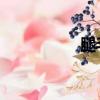 腿毛 襪子（腿毛絲襪）