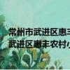 常州市武進區惠豐農村小額貸款股份有限公司（關于常州市武進區惠豐農村小額貸款股份有限公司介紹）