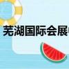 蕪湖國際會展中心車展（蕪湖國際會展中心）