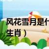 風花雪月是什么生肖的動物（風花雪月是什么生肖）