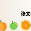 張文善（關于張文善介紹）