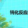 鈍化反應的實質是什么（鈍化反應）