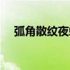 弧角散紋夜蛾（關于弧角散紋夜蛾介紹）