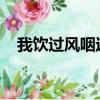 我飲過風咽過沙浪子無情過酒家是什么歌