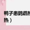 鴨子患鸚鵡熱（浙江女子圍觀宰鴨后確診鸚鵡熱）
