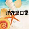 彈彈堂口袋版（關于彈彈堂口袋版介紹）