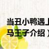 當丑小鴨遇上白馬王子（關于當丑小鴨遇上白馬王子介紹）