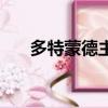 多特蒙德主場望遠鏡（多特蒙德主場）