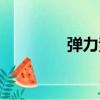彈力素（關于彈力素介紹）
