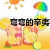 彎彎的辛夷花（關于彎彎的辛夷花介紹）