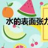 水的表面張力現象及解釋（水的表面張力）