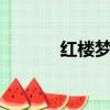 紅樓夢 張睿（張貴林 紅樓夢）