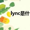 lync是什么電噴系統（lync是什么）