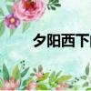 夕陽西下的詩句（夕陽西下下一句）