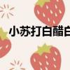 小蘇打白醋白酒洗潔精配方（洗潔精配方）
