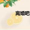 離婚吧我們TXT（離婚吧我們）