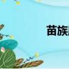 苗族服裝設計（苗族服裝）