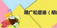 胡廣松是誰(胡廣松)