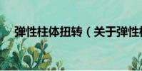 彈性柱體扭轉(關于彈性柱體扭轉介紹)