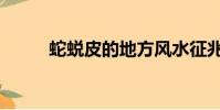 蛇蛻皮的地方風水征兆(蛇蛻皮)