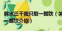 弱水三千我只取一瓢飲(關于弱水三千我只取一瓢飲介紹)