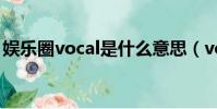 娛樂圈vocal是什么意思(vocal是什么意思)
