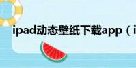 ipad動態壁紙下載app(ipad動態壁紙)