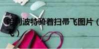 哈利波特騎著掃帚飛圖片(哈利波特騎著掃帚飛)
