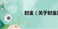 封金(關于封金簡介)