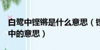 白鷺中鏗鏘是什么意思(鏗鏘的意思在 白鷺 中的意思)