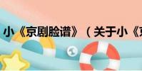 小《京劇臉譜》(關于小《京劇臉譜》簡介)