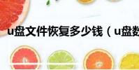 u盤文件恢復多少錢(u盤數據恢復多少錢)