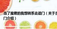 當了魔君的我想轉系去道門(關于當了魔君的我想轉系去道門介紹)