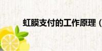 虹膜支付的工作原理(虹膜支付)