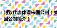 封致仕唐休璟宋國公制(關于封致仕唐休璟宋國公制簡介)