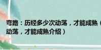 彎路:歷經多少次動蕩,才能成熟(關于彎路:歷經多少次動蕩,才能成熟介紹)