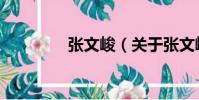 張文峻(關于張文峻介紹)
