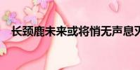 長頸鹿未來或將悄無聲息滅絕我3有時間9