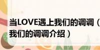 當LOVE遇上我們的調調(關于當LOVE遇上我們的調調介紹)
