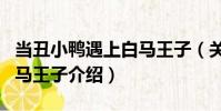 當丑小鴨遇上白馬王子(關于當丑小鴨遇上白馬王子介紹)