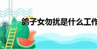 鴿子女勿擾是什么工作(鴿子女)