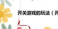開關游戲的玩法(開關游戲)