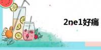 2ne1好痛