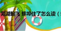 蕪湖起飛 蚌埠住了怎么讀(蚌埠住了怎么讀)