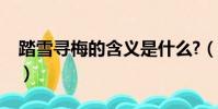 踏雪尋梅的含義是什么?(踏雪尋梅的意思是)