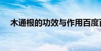木通根的功效與作用百度百科(木通根)
